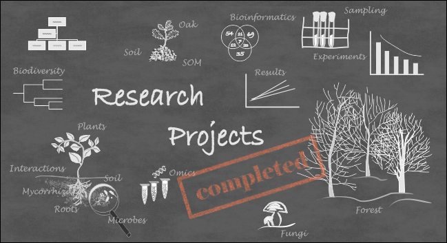 research projects completed